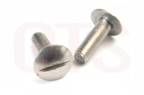 Screw M5 (for Outer Glass Door)