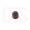 Giorik 6042091 PRESSURE REDUCER BROWN Giorik 6042091 PRESSURE REDUCER BROWN